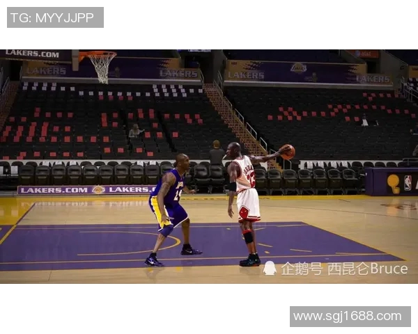 溆浦篮球明星的崛起之路与未来发展展望